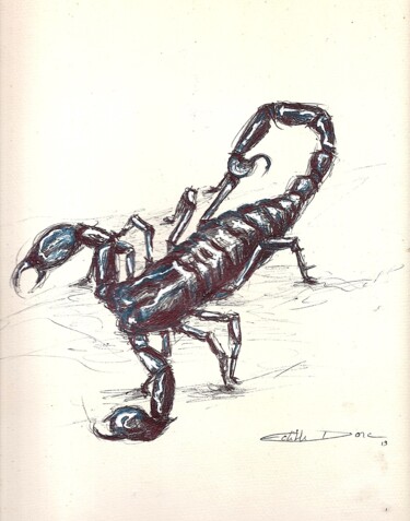 Dessine moi un scorpion